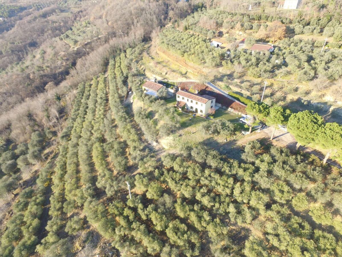 Holiday House Petrarca Arqua Petrarca Bagian luar foto